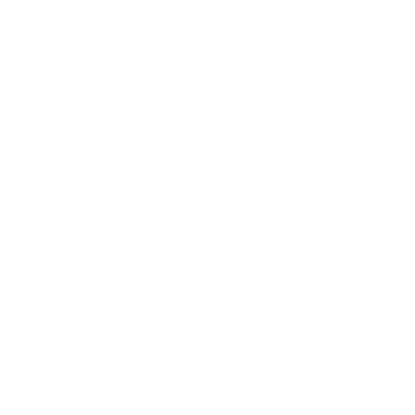Internet Festival 2025