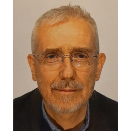 Paolo Nesi