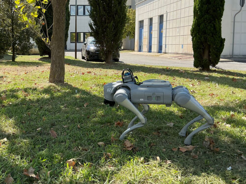 Un robot a quattro zampe che esplora il mondo - T-Tour IF2026