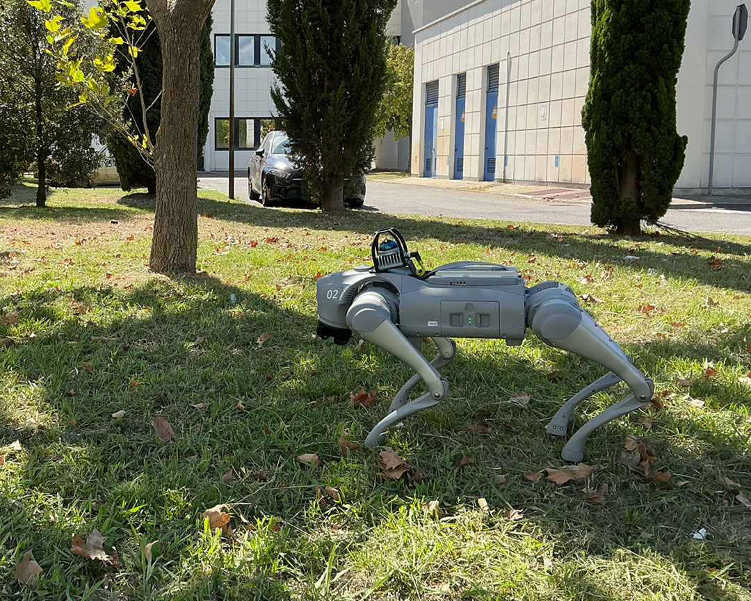 Un robot a quattro zampe che esplora il mondo - T-Tour IF2026