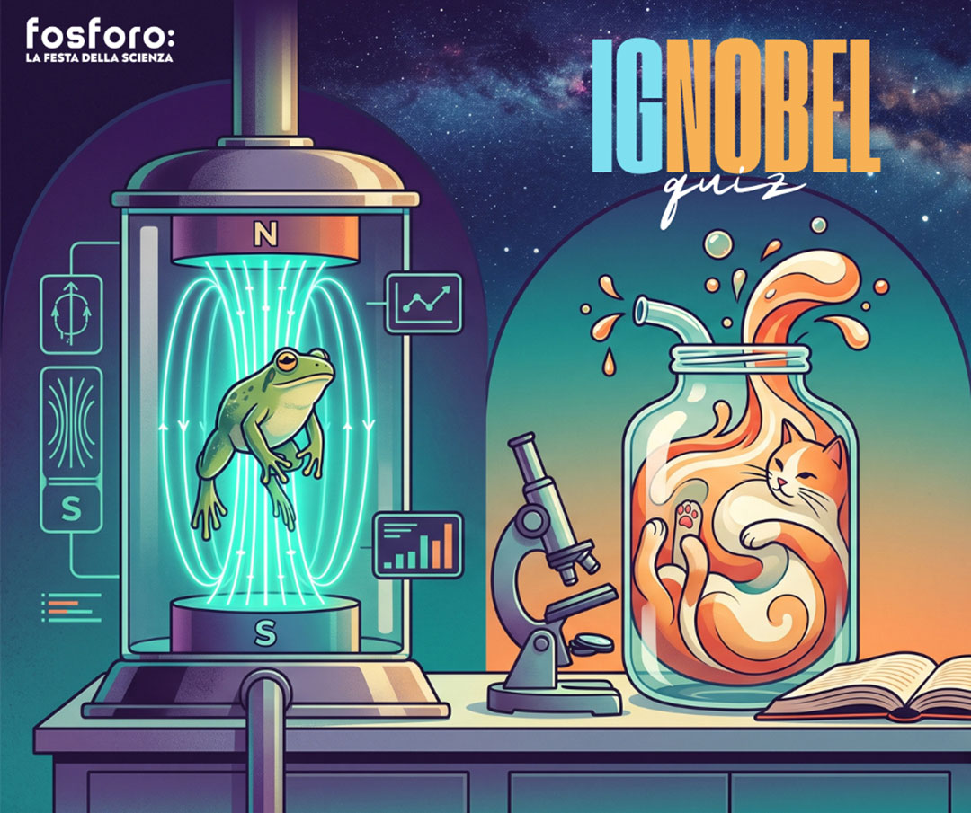 The IGnobel Quiz - T-Tour IF2026